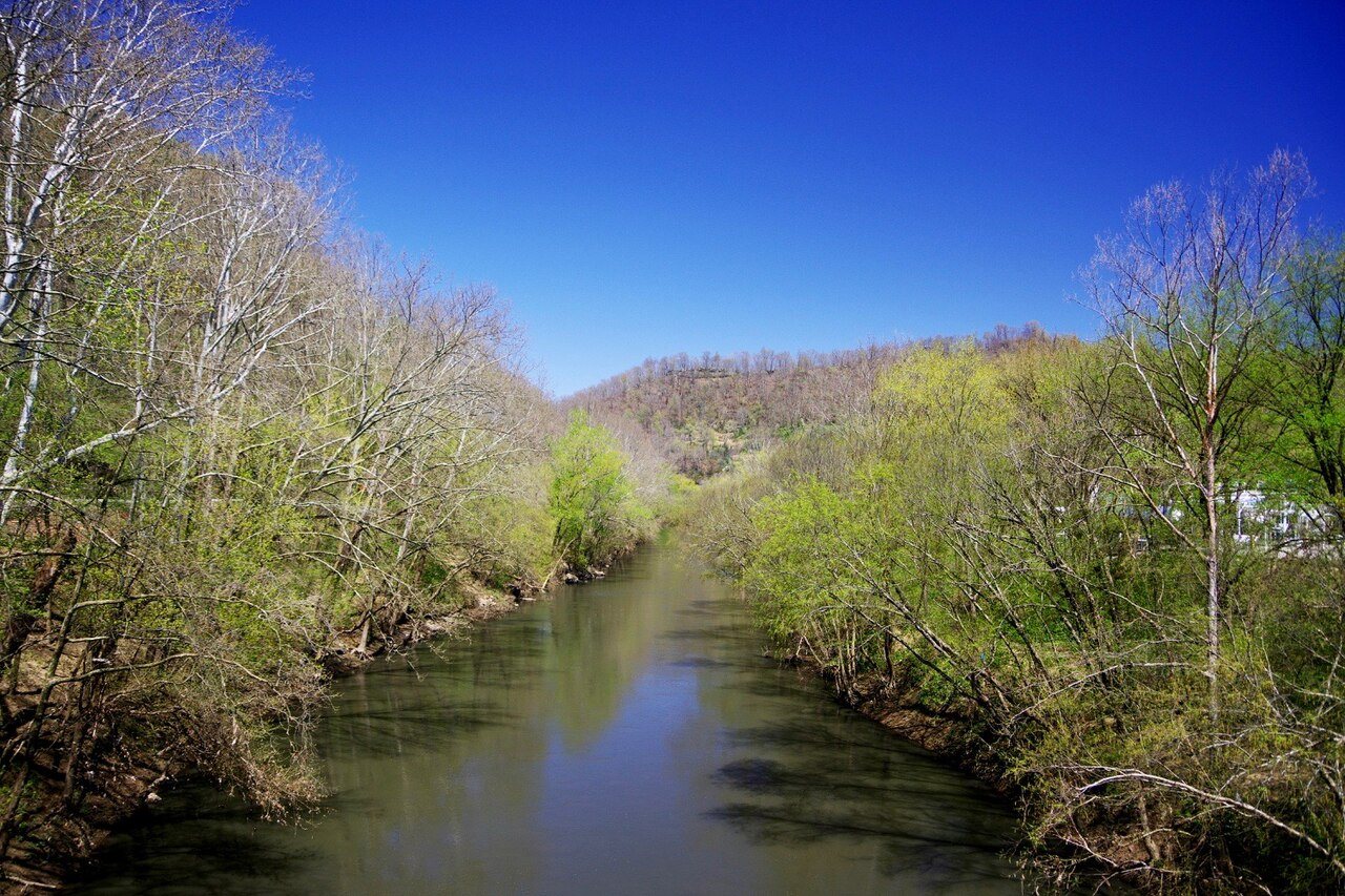 Kermit-Warfield-Tug-Fork-kywv