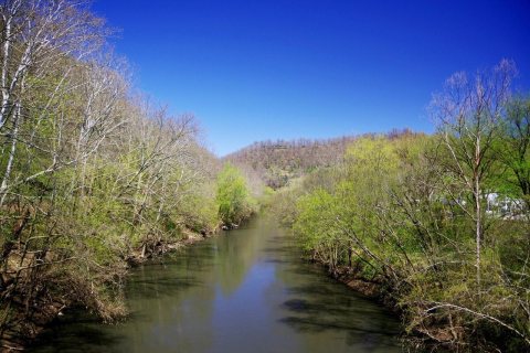 Kermit-Warfield-Tug-Fork-kywv