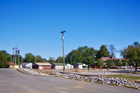Wingo-339-ky