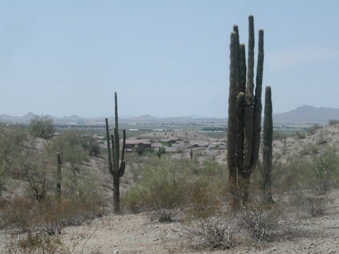 Typical arizona terrain