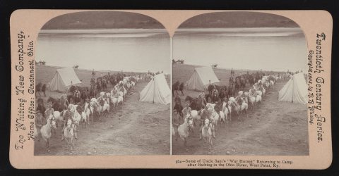 Some of Uncle Sam's "war horses" returning to camp after bathing in the Ohio River