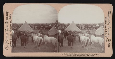 In cavalry headquarters, Campy Young