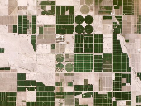 Irrigated Fields Arizona USA - Planet Labs satellite image