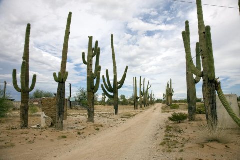 Rural Arizona near Florence, Arizona