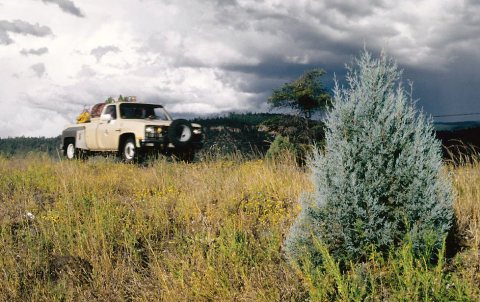 Arizona, varios 1989 07