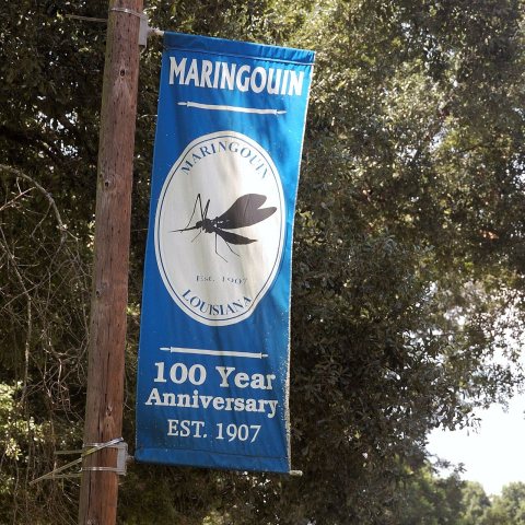 Maringouin (Louisiana)