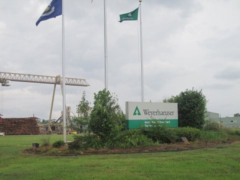Weyerhaeuser in Simsboro, LA IMG 3639