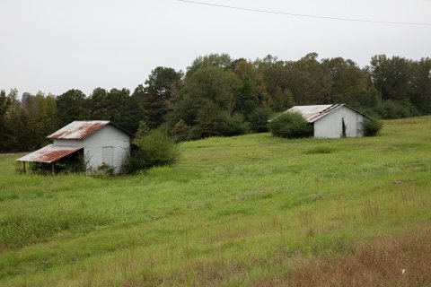 Companion barns in the piney woods of north Louisiana's Claiborne Parish, near the town of Athens