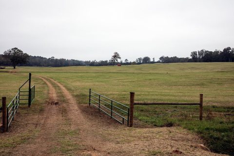 Dirt road and rural landscape in north Louisiana's Claiborne Parish, near the town of Athens