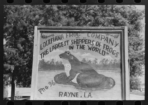 Sign of frog company