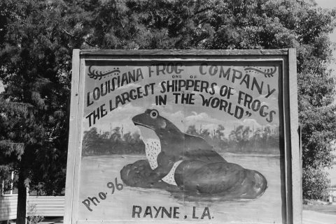 RayneLouisianaFrogCompany1938