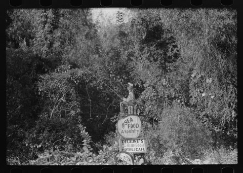 Untitled photo, possibly related to: Sign of frog company