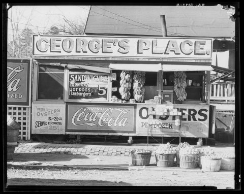Roadside fruit. Ponchatoula, Louisiana