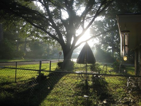 Sunrise in Slaughter, Louisiana, waiting for the Bus
