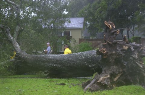 FEMA - 7066 - Photograph by Lauren Hobart taken on 10-03-2002 in Louisiana