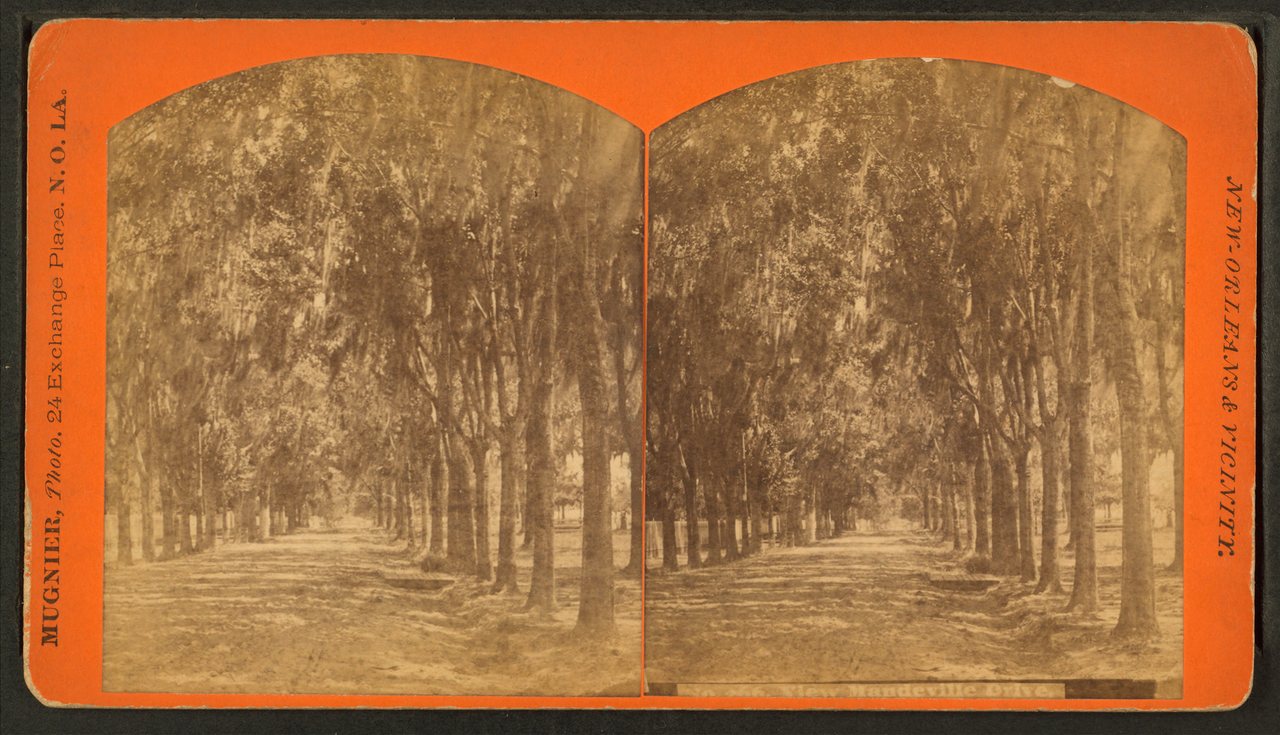 View Mandeville drive.Alternate Title: New Orleans and vicinity