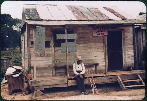 A store with live fish for sale. Vicinity of Natchitoches, Louisiana, July 1940