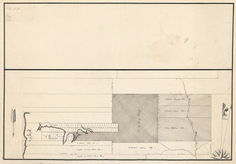 Plan of Baton Rouge and adjoining properties on the Mississippi River