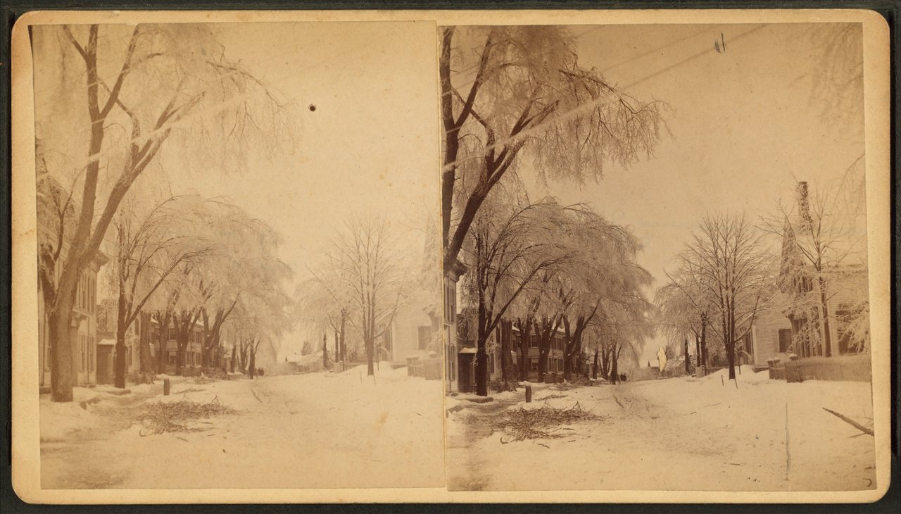 South Street, from Elm [Street], Bidd[eford]