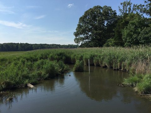 2016-07-20 16 37 30 View northwest across a tidal marsh from Maryland State Route 261 (Bay Avenue) in