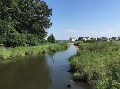 2016-07-20 16 37 13 View southeast down an unnamed tidal stream towards the Chesapeake Bay from Maryland State Route 26…