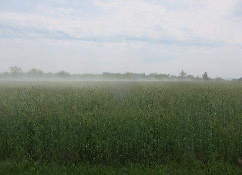 Atmospheric Phenomenon, Cold Air over Warm Moist Grain