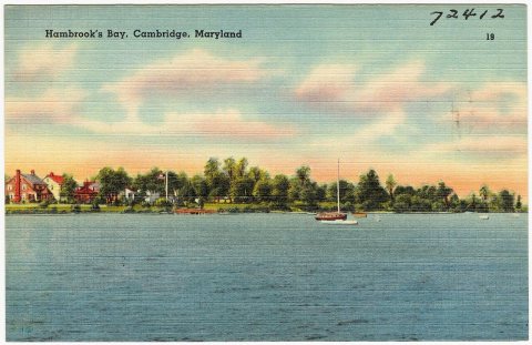 Humbrook's Bay, Cambridge, Maryland (72412)