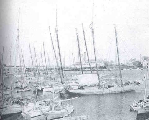 FMIB 34876 Oyster Fleet Operating from Cambridge, Md, Lying in Harbor
