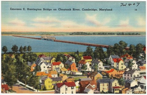 Emerson E. Harrington Bridge on Choptank River, Cambridge, Maryland (72407)
