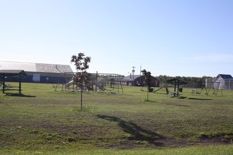 LauriumMichiganPark