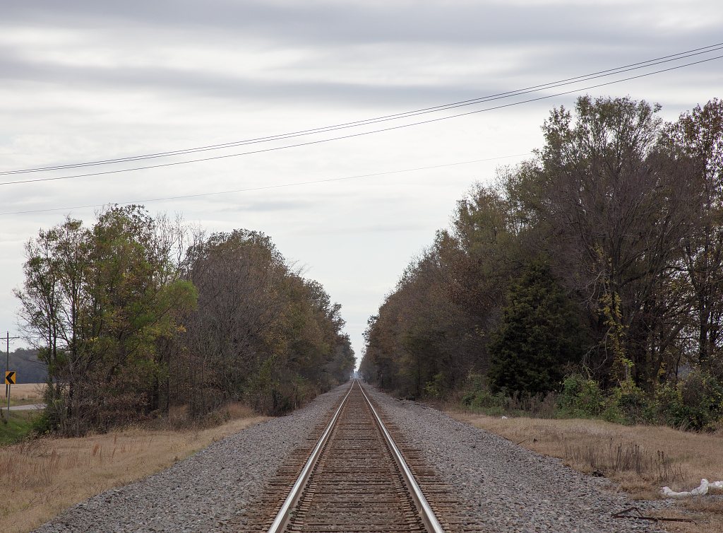 View down rural railroad tracks near the tiny town of Cash (a version of the name of the nearby Cache River) in Craighe…