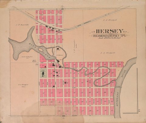 Plat book of Osceola County, Michigan