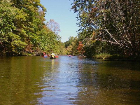 Pere Marquette River in Fall Manistee National Forest