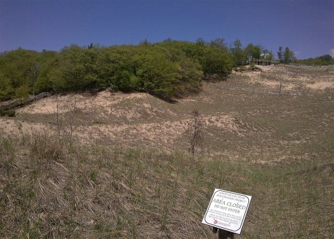 Dune restoration at north beach park
