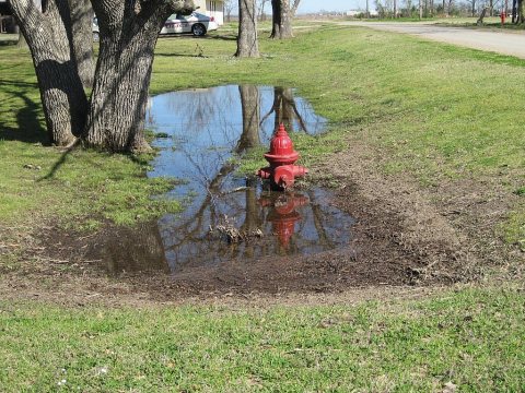 Crawfordsville AR 009