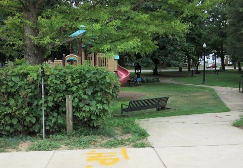Hicks Park