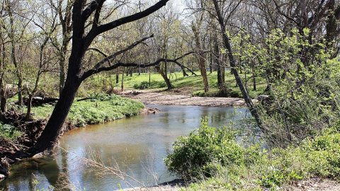 Flint Creek in