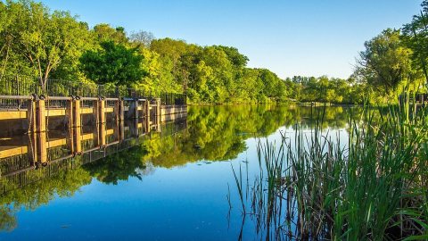 Rockford Dam