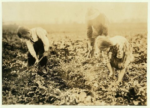 Jo Durco. This man, his wife and two children, Mary 8 years, Tony 10 years, do all the work on a large plot of beets. T…