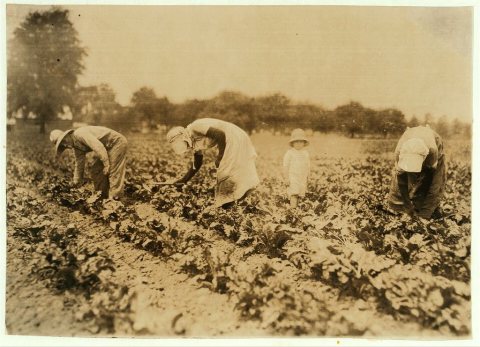 John Kalishek family, Bohemian beet-workers. Location: Corunna, Michigan