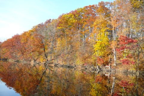 Fall along the river