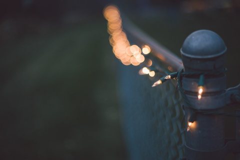 Twinkly Lights At Twilight (Unsplash)