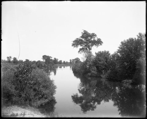 Pine River