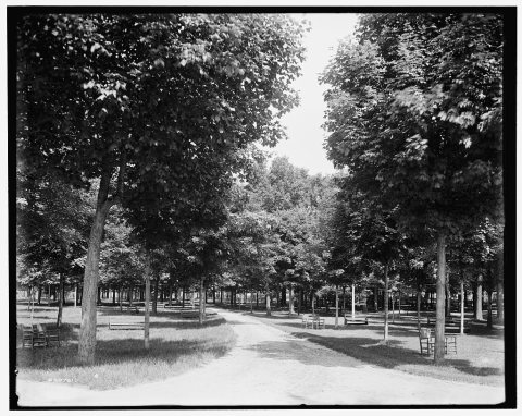 Sanitarium Park