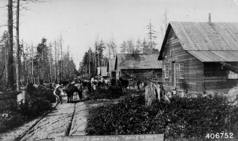 Photograph of Logging Camp at Work
