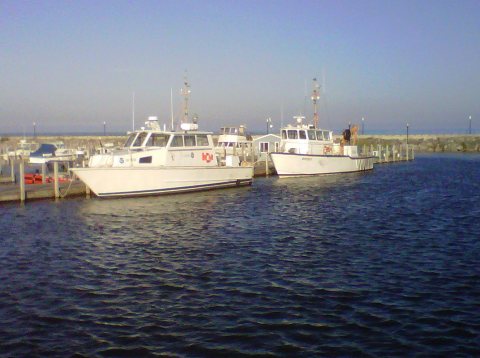 RV 5501 and RV 5002