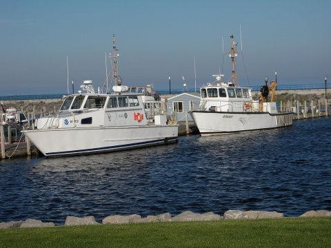 RV 5002 and RV 5501