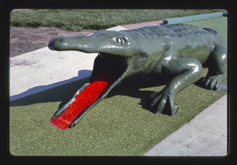 Jawor's Fun Golf, gator hole