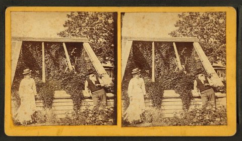 Greenhouse of I.A. Pool, Escanaba, Mich