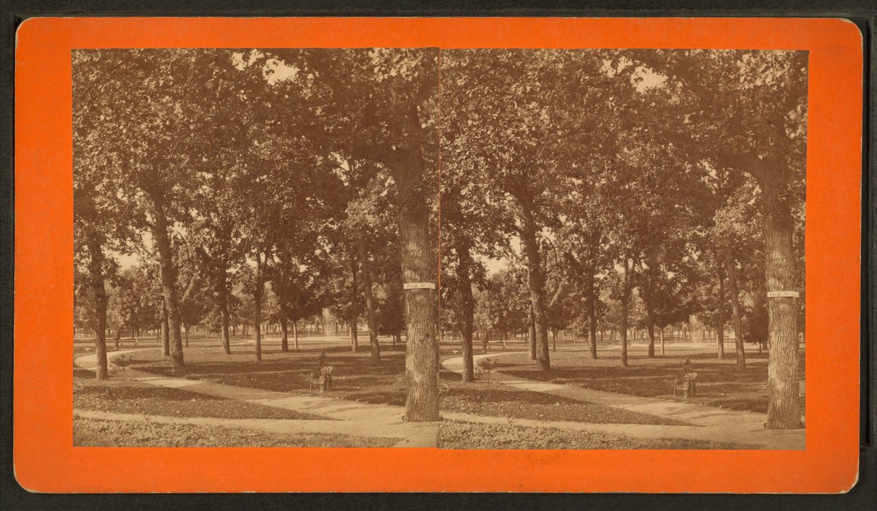 View of the park and fountain from Rose St.Alternate Title: Kalamazoo views